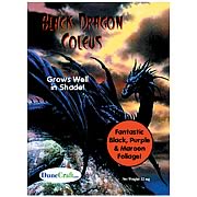 Black Dragon Coleus Seed Packet